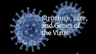 Structure, Size, and Genes of the Virus
