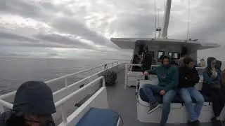 Day trip to Robben Island