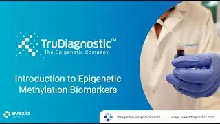 Introduction to Epigenetic Methylation and Advanced Biological Age Testing