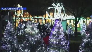 Brookfield Zoo's Holiday Magic light show last until Dec. 31