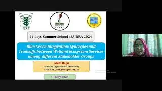 Blue Green Integration  Synergies and trade offs between wetland ecosystem services among differen 2