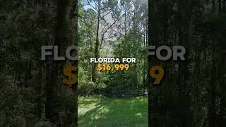 1.14 Acres for Sale in Palatka, Florida for $16,999