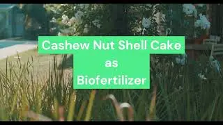 Cashew Nut Shell Cake as Biofertilizer