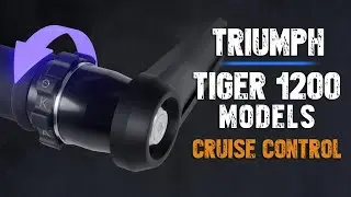 Triumph Tiger 1200 (2022-2023) | with Hand Guards | KAOKO Cruise Control
