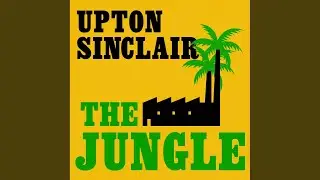 Chapter 391 - The Jungle