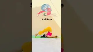 Yoga inspired by Animals #animal #yoga #motivation #pose #asana #animals #inspiration #inspired