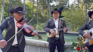 &ldquo;EL TAO TAO&rdquo;