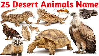 25 रेगिस्तान के जानवरों के नाम | 25 Desert Animals Names English in Hindi | Desert Animals for Kids