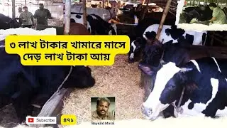 ৩ লাখ টাকা নিয়ে ডেইরি খামার | ৪ বছর পর | মাসে দেড় লাখ টাকা আয় করে জামান | Dairy Farm in Gazipur