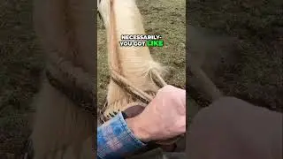 Can We Overcome Nervousness While Riding a Horse?