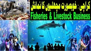 Fisheries & Livestock Business Guidance Exhibition | Pakistan's Largest Fish Show #Business