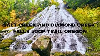 SALT CREEK AND DIAMOND CREEK FALLS LOOP TRAIL OREGON