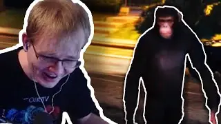 Monkeying Around in GTAV (Full Vod)
