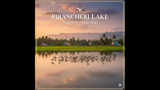 The Peaceful Waters of Pirancheri, Tirunelveli #birdwatching #waterbodies #tirunelveli
