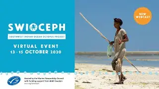 How FIPs succeed: Findings from the 2020 Global Landscape Review of Fishery Improvement Projects