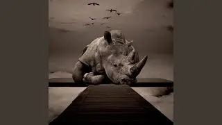 Sign Of The Rhinoceros