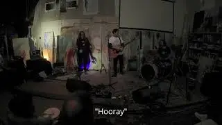 🎉 