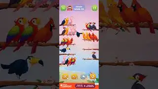 #bird #sort #level 111
