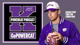 How much will 5-star Linkon Cure contribute in 2025? | Powercat Podcast
