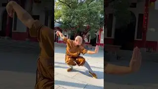The Five Stance Form (Wu Bu Quan) | Shaolin Kung Fu Basics