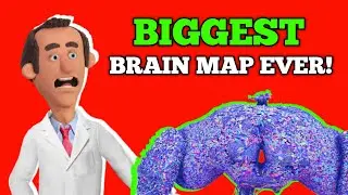 Biggest Brain Map Ever!! #scienceupdate  #sciencenews #sciencefacts
