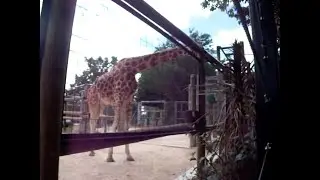 Hamilton Zoo