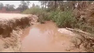 الشيخ عبد الرحمن المهداوي في كلمة شعرية لواد درعة