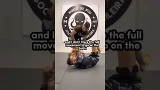 K guard alternative entry &ldquo;reverse tony Montana &ldquo;