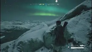 Vigor Highlights 39