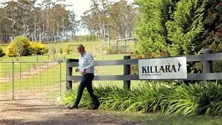 61 Wallaby Hill Road, Robertson