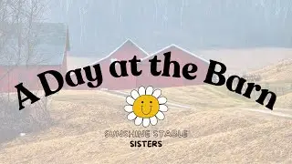 A Day at the Barn Part One | Schleich Horse Stable Story 🐴 | Toy Horse Adventure | Schleich Horses