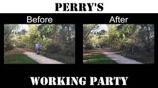 Working Party: Time-lapse video of hedge cutting