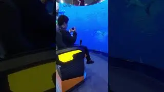 LED soft module makes you immersive #short #ledfactory #ledscreen #ledpanel