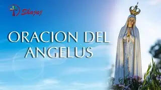 Ángelus hoy Jueves 23 de Septiembre Shajaj Ministerio Católico.