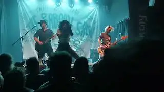 The Baboon Show 
