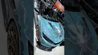 The flying dragon BYD #byd