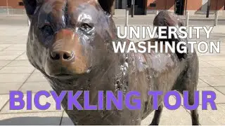 HOME OF THE HUSKIES NATIONAL CHAMP DAWG 1991