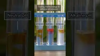 What is the colour of Methyl Orange in different pH medium? #shorts #science