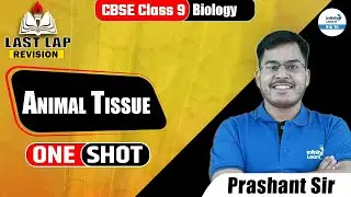 Animals Tissue in ONE SHOT | Class 9 Biology | CBSE Class 9 | Last Lap Revision | @InfinityLearn_910