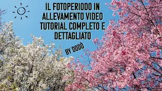 Il fotoperiodo, tutto ciò che c'è da sapere