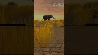 Jungle me ghus kar mara bohot sare janbaro ko uske bad ser  #shorts #jungle #hunting