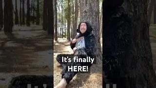 Bigfoot vs Yeti: A Love Story - release day!