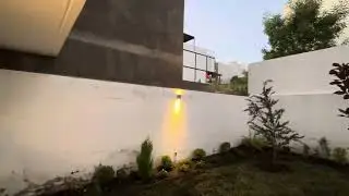 The initial stages of our new backyard garden (October 31, 2025)