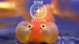 New Star Citizen Hangar - Fish & York
