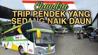 Blusukan di Gudang PO Chandra... Makin Rame Aja Penumpangnya