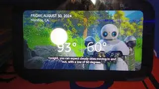 Как использовать Alexa для темы &laquo;Дикий робот&raquo;