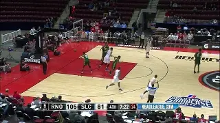 Diamond Stone NBA D-League Highlights: January 2017