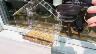Window Bird Feeder with Strong Suction Cups Review
