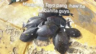 Copy of fishtrapping #fishinglife #fishing #jackpot