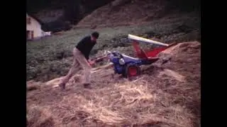 Arvieux 1960 - Film de Pierre BLANC - les Semailles Brecheït et le débardage du bois à Combebonne